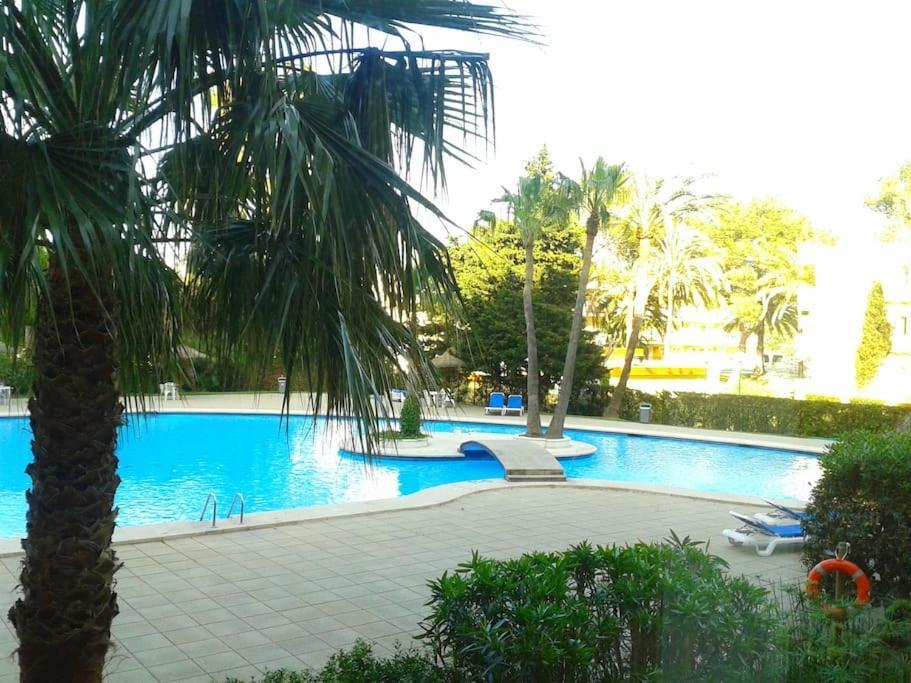 شقة Piso Moderno Con Piscina Siesta 2 بورت ذالكوذيا المظهر الخارجي الصورة